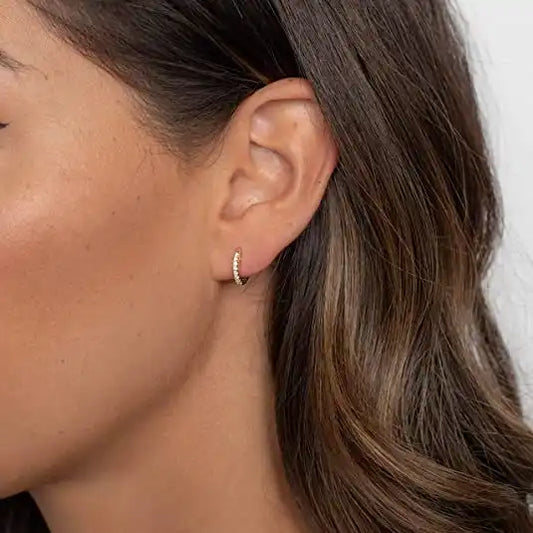 2mm-5mm Moissanite Hoop Earrings